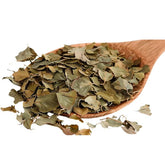 Birch Leaves